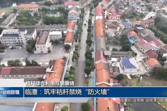 临澧：筑牢秸秆禁烧“防火墙”