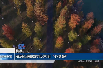 桃源：双洲公园成市民休闲“心头好”