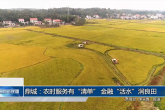 鼎城：农时服务有“清单” 金融“活水”润丰粮