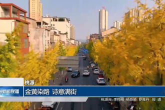 桃源：金黄染路 诗意满街