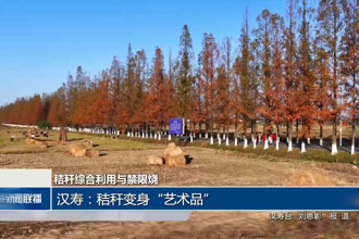 汉寿：秸秆变身“艺术品”