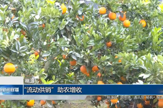 桃源：“流动供销”助农增收