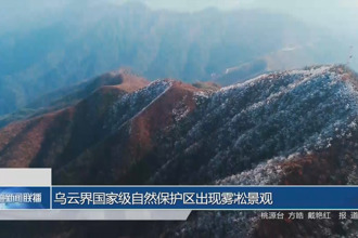 乌云界国家级自然保护区出现雾凇景观