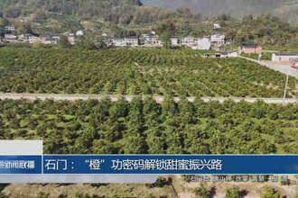 石门：“橙”功密码解锁甜蜜振兴路