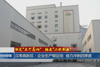 汉寿高新区：企业生产铆足劲 奋力冲刺四季度