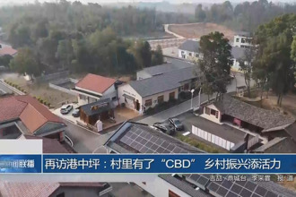 再访港中坪：村里有了“CBD” 乡村振兴添活力