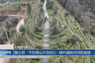 人民的代表 詹立君：不负青山不改初心 绿叶铺就共同致富路