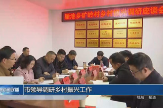 市领导调研乡村振兴工作
