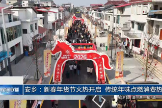 安乡：新春年货节火热开启 传统年味点燃消费热情