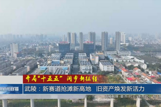 武陵：新赛道抢滩新高地 旧资产焕发新活力