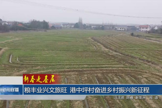 粮丰业兴文旅旺 港中坪村奋进乡村振兴新征程