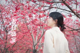 常德是个好地方｜樱色满园，带您领略春日浪漫