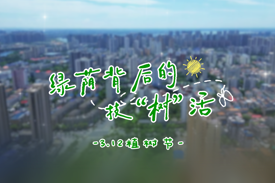 3·12特别策划 | 绿荫背后的技“树”活