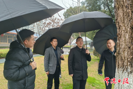 常德推进古树名木“健康工程”