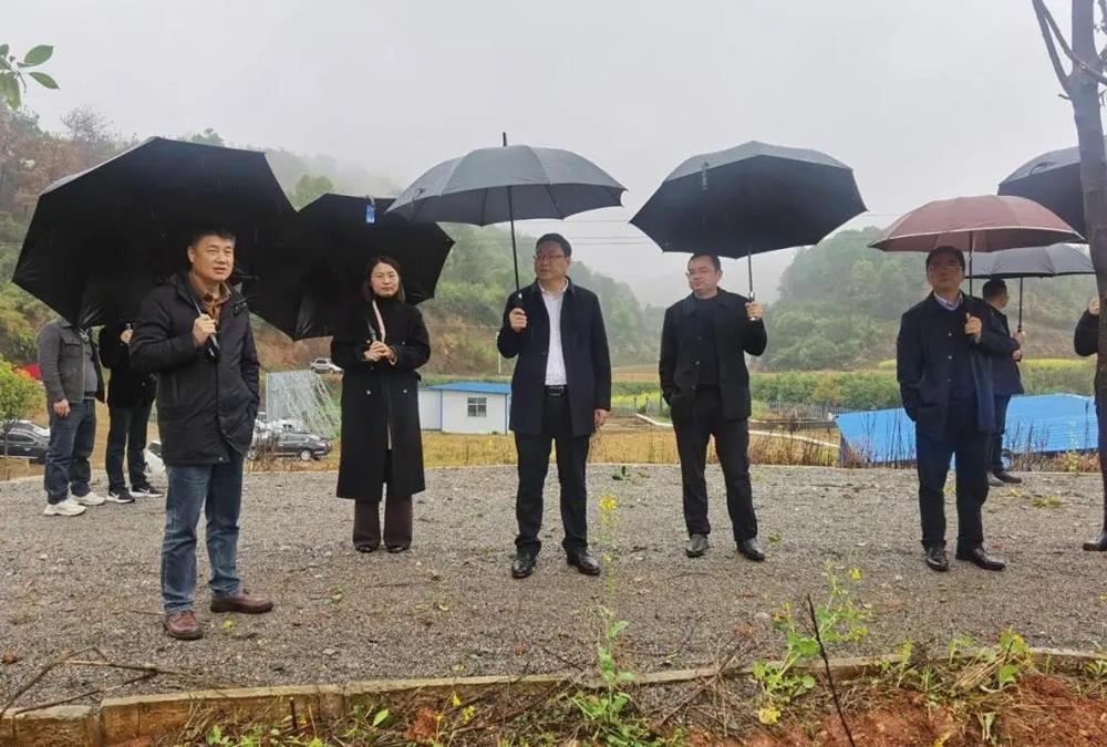 cdb50c0d011447708b2769baf3a2b59e.jpg cdb50c0d011447708b2769baf3a2b59e.jpg