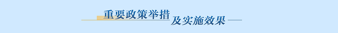 重要政策举措及实施效果