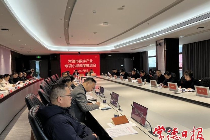 常德市数字产业专项小组调度推进会召开