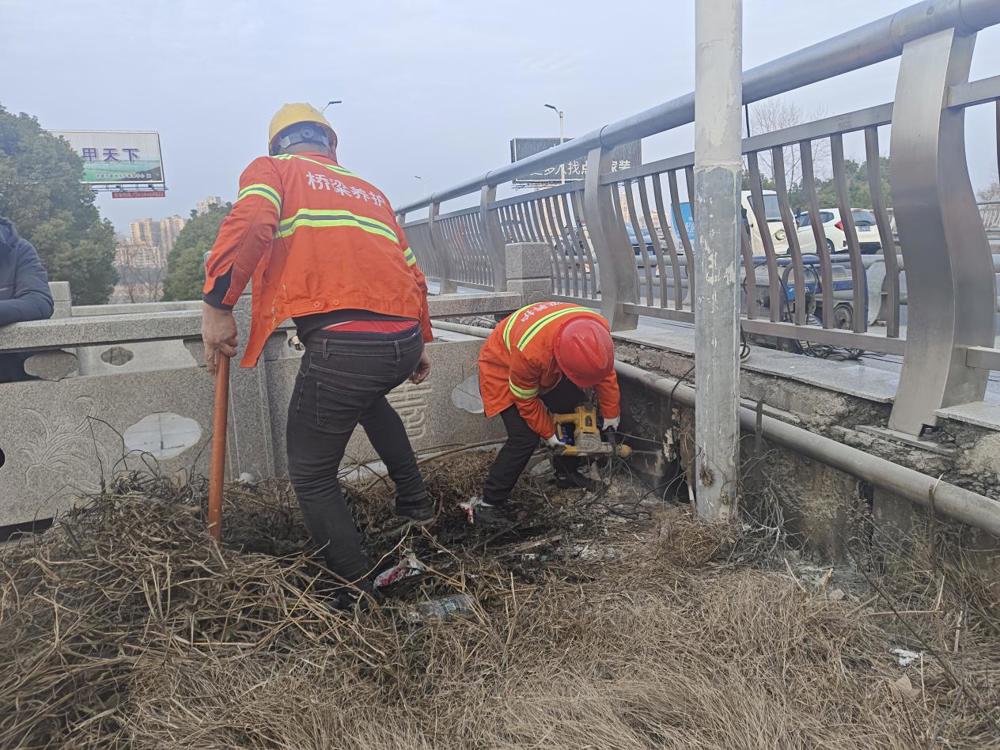 6b5ab72a4e9b21a397d4fc6acaafe83